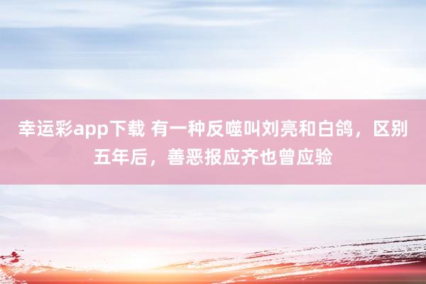 幸运彩app下载 有一种反噬叫刘亮和白鸽，区别五年后，善恶报应齐也曾应验