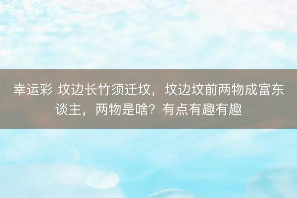 幸运彩 坟边长竹须迁坟，坟边坟前两物成富东谈主，两物是啥？有点有趣有趣